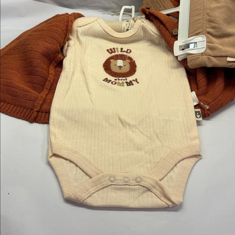 4 Pc Set Rabbit + Bear Infant Boys Organic Cotton Sweater Pants